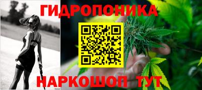 крисы Краснознаменск