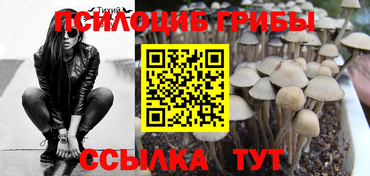 Кондопога  Галлюциногенные грибы мухоморы  закладки  Вход с VPN  Галлюциногенные грибы MAGIC MUSHROOMS 