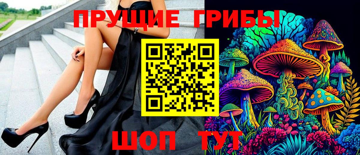 Псилоцибиновые грибы GOLDEN TEACHER Кондопога